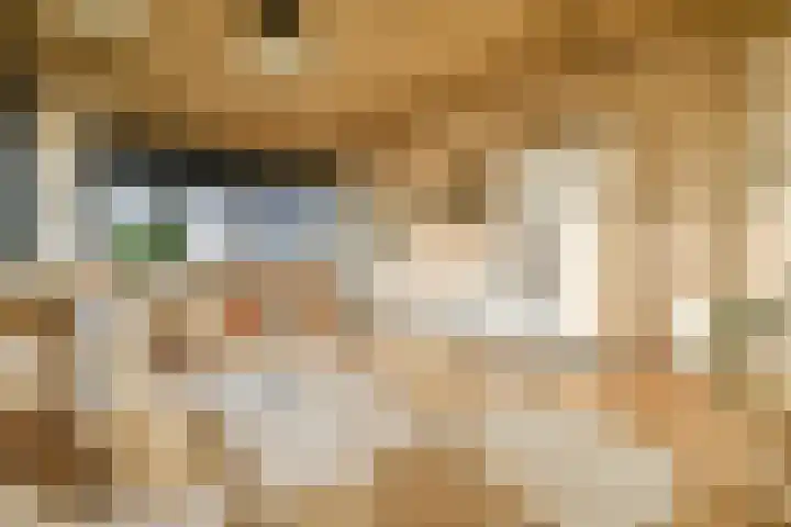 Willem de Zwijgerlaan 334 E 2 in Amsterdam