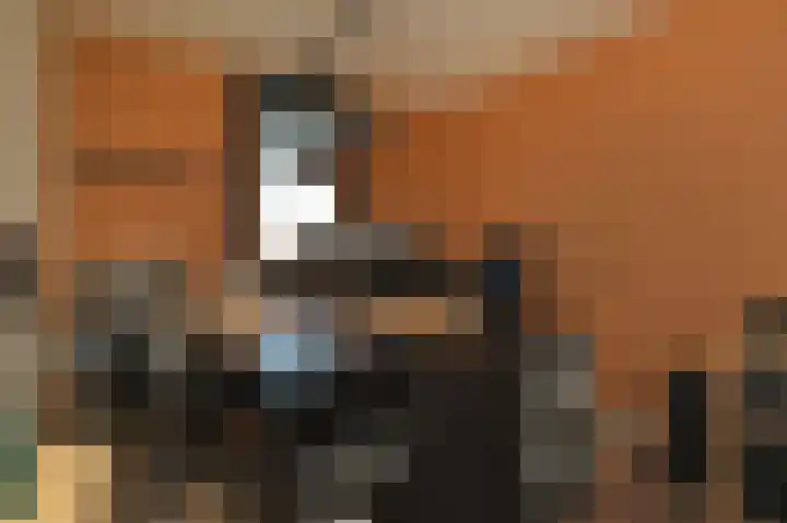 Willem Dreeslaan 10 Delft thumbnail 30