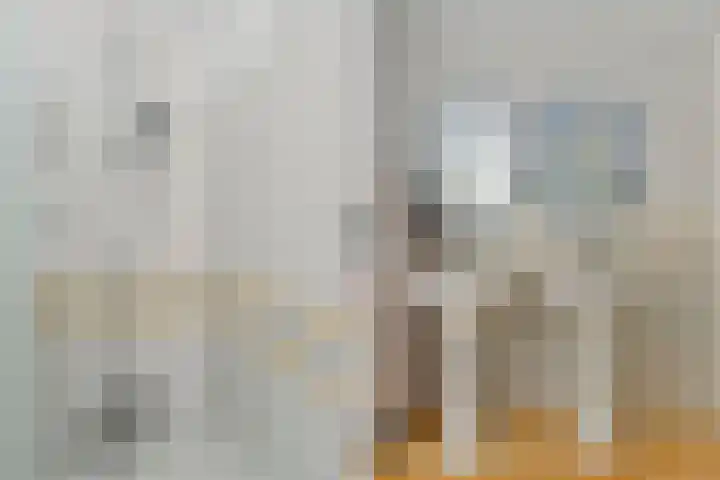 Willem Dreeslaan 10 Delft thumbnail 32