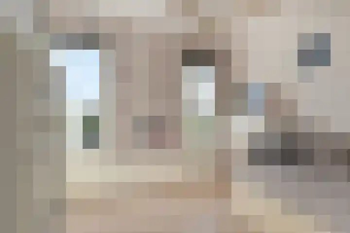 Willem Dreeslaan 10 Delft thumbnail 33