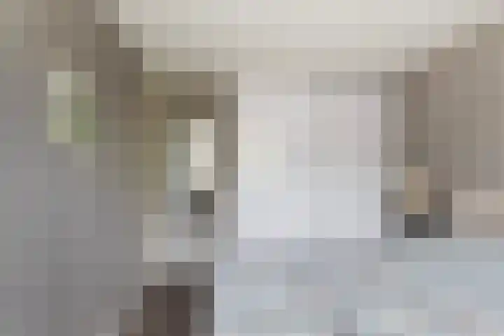 Willem Dreeslaan 261 Epe thumbnail 13