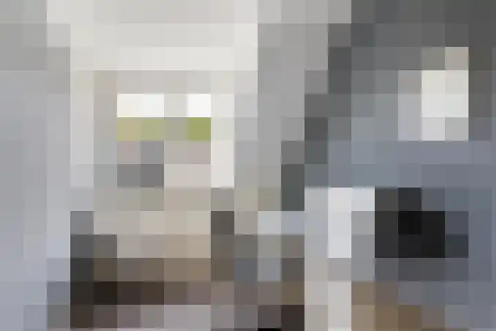 Willem Dreeslaan 261 Epe thumbnail 14