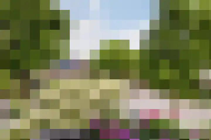 Willem Dreeslaan 261 Epe thumbnail 21