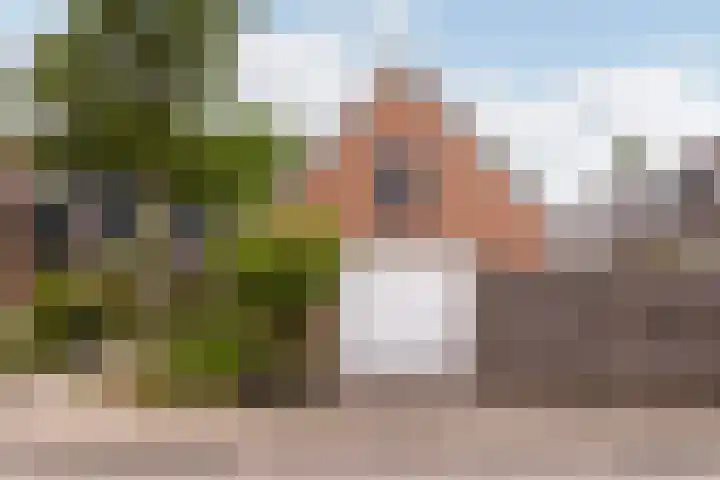 Willem Dreeslaan 261 Epe thumbnail 22