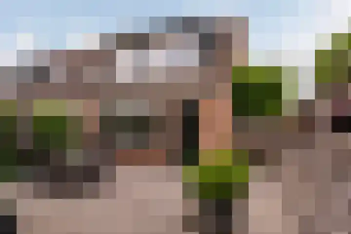 Willem Dreeslaan 261 Epe thumbnail 4