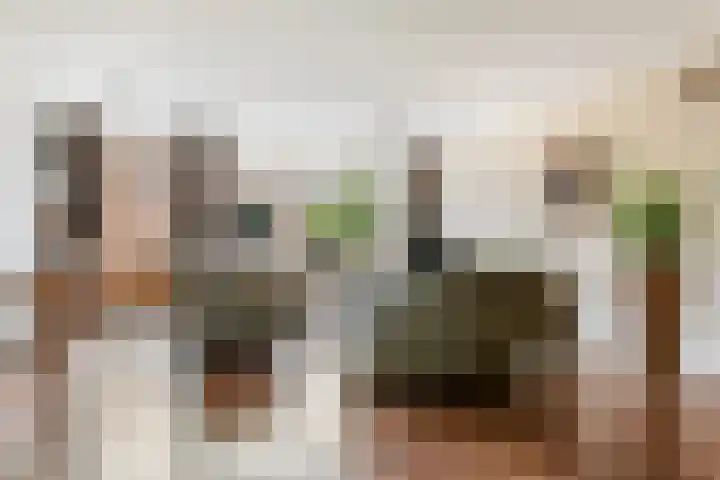 Willem Dreeslaan 261 Epe thumbnail 5