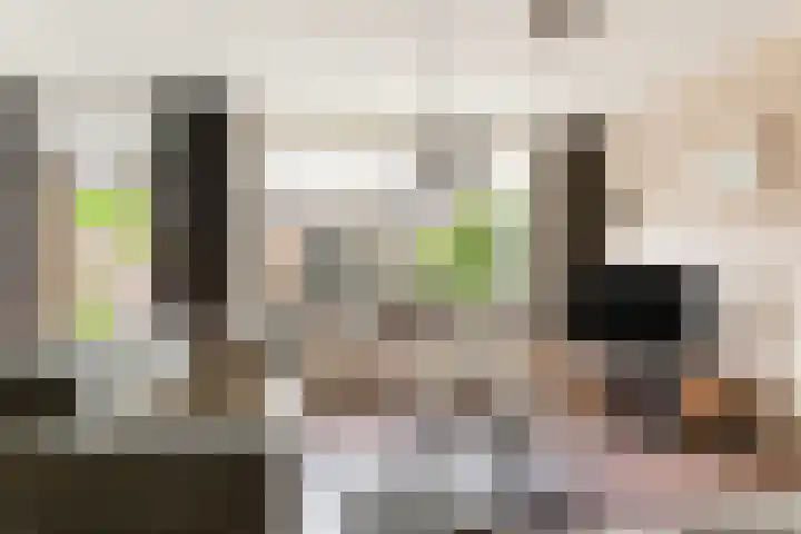 Willem Dreeslaan 261 Epe thumbnail 6