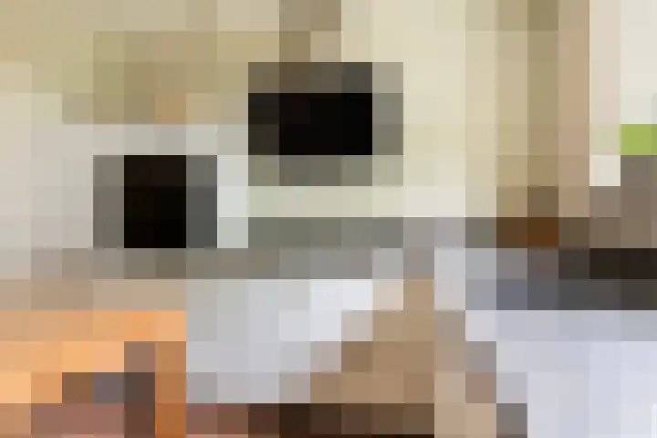 Willem Dreeslaan 261 Epe thumbnail 9