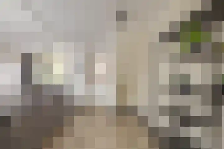 Willems Fopsstraat 2 Hellevoetsluis thumbnail 13