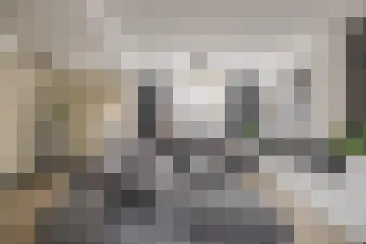 Willems Fopsstraat 2 Hellevoetsluis thumbnail 16