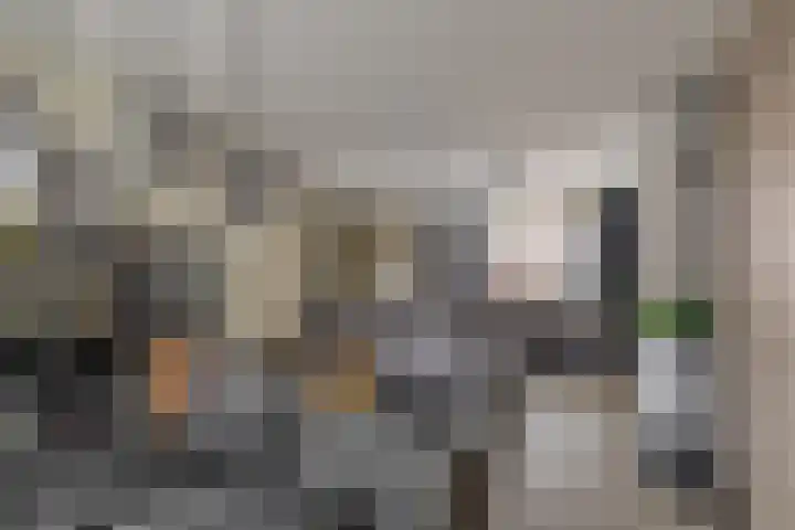 Willems Fopsstraat 2 Hellevoetsluis thumbnail 23