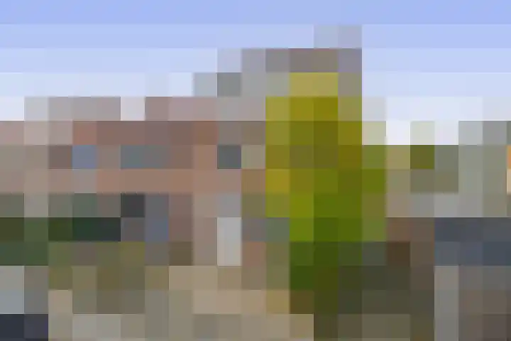 Willems Fopsstraat 2 Hellevoetsluis thumbnail 6