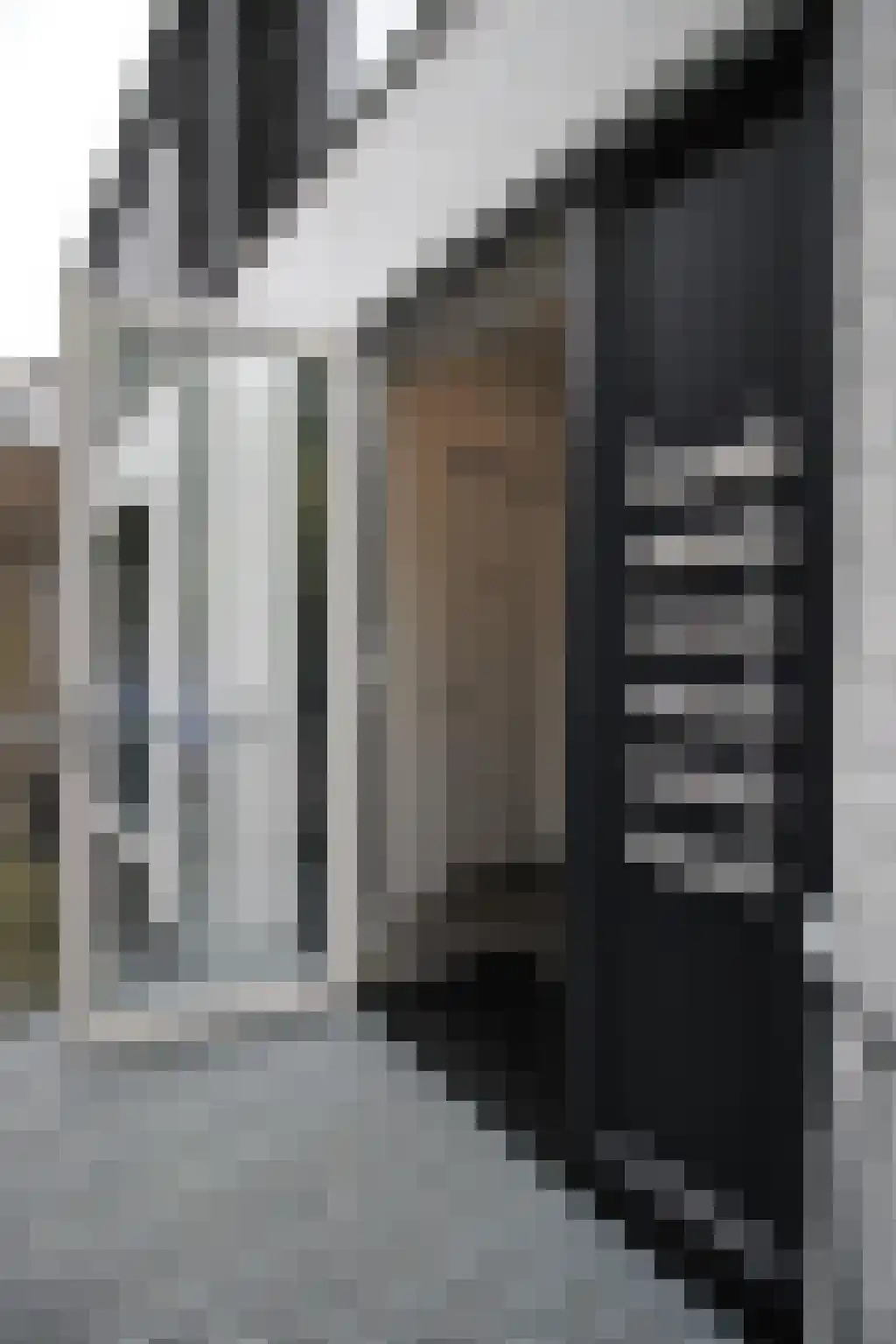 Willemsgang Almelo thumbnail 5