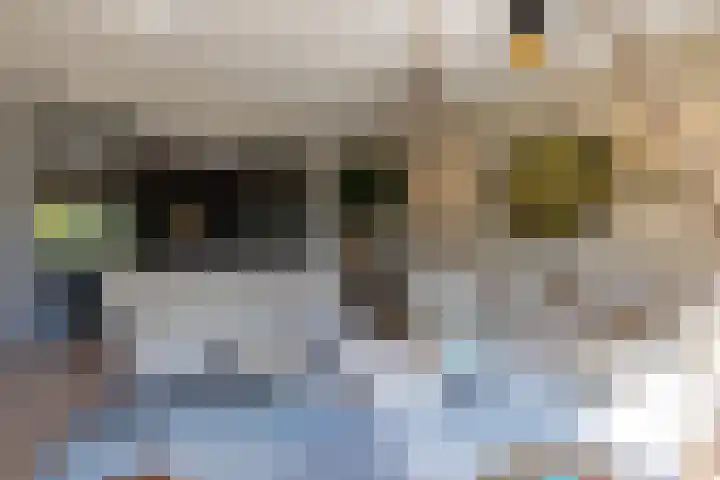 Willemskade 21 E Rotterdam thumbnail 13