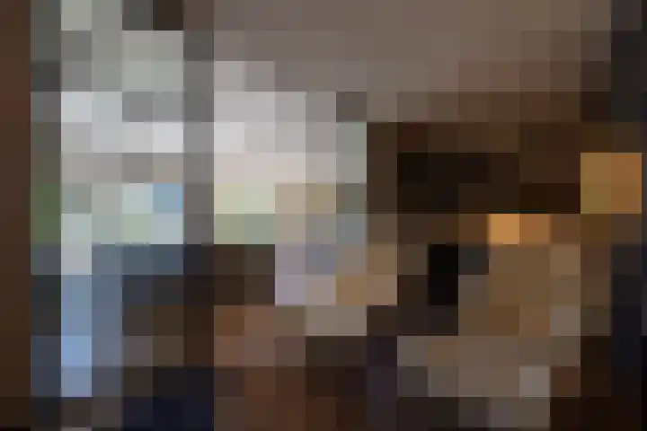 Willemskade 21 E Rotterdam thumbnail 16