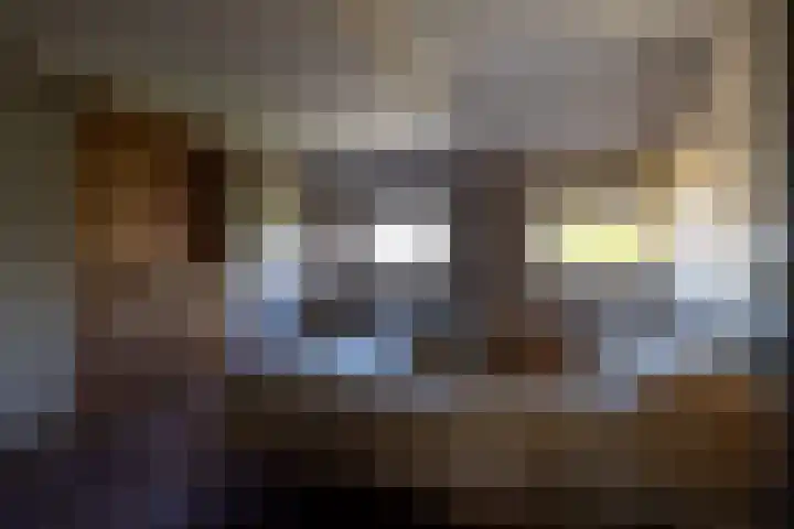 Willemskade 21 E Rotterdam thumbnail 31