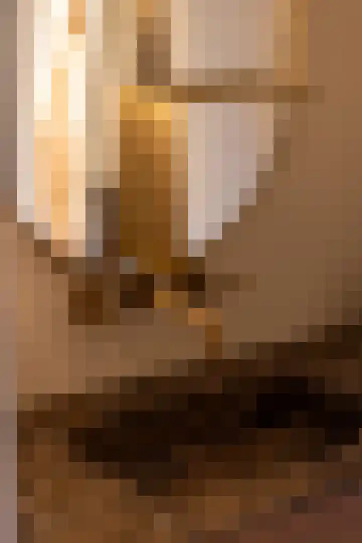 Willemskade 21 E Rotterdam thumbnail 32