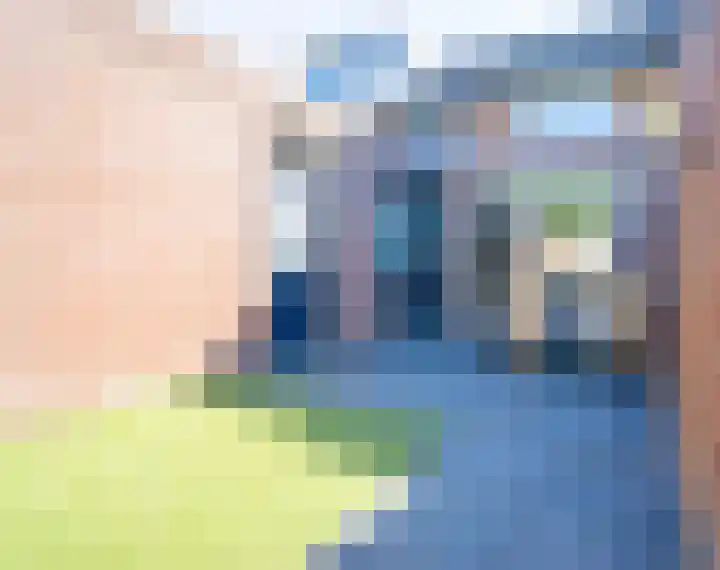 Willemstraat 18 Bakel thumbnail 36