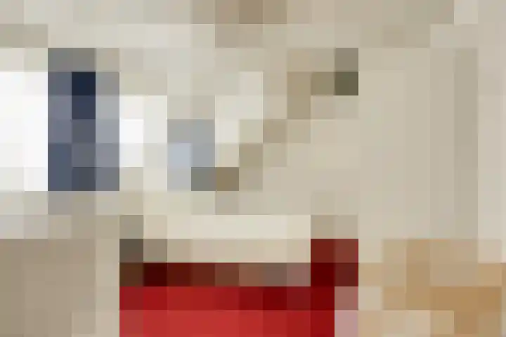Willemstraat 34 Velp thumbnail 17