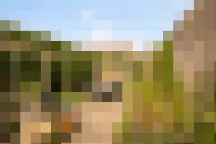 Willemstraat 34 Velp thumbnail 22