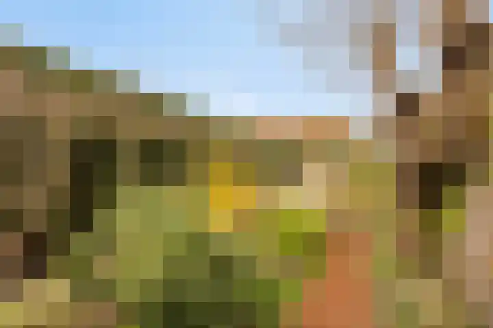 Willemstraat 34 Velp thumbnail 23
