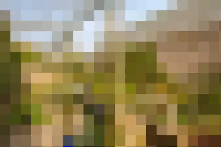 Willemstraat 34 Velp thumbnail 24
