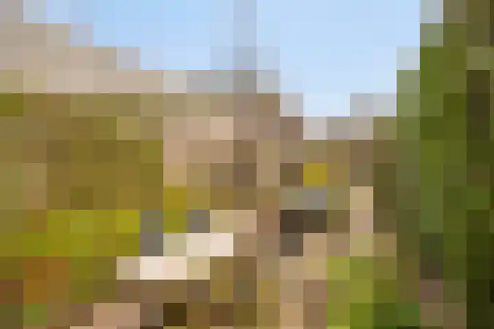 Willemstraat 34 Velp thumbnail 25