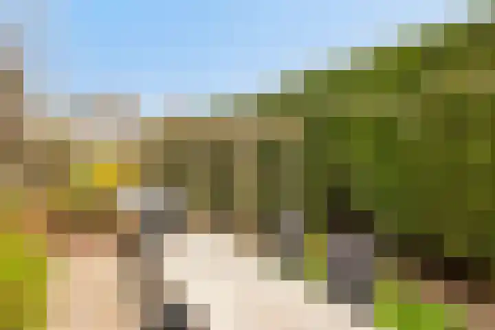 Willemstraat 34 Velp thumbnail 26