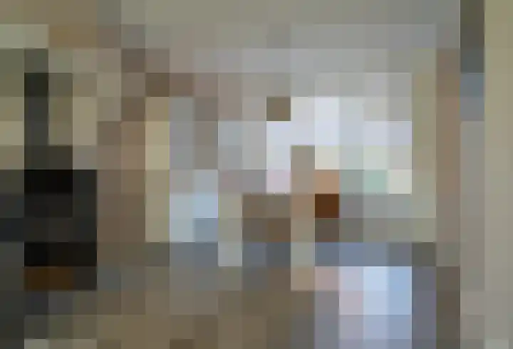 Willemstraat 38 Bakel thumbnail 8