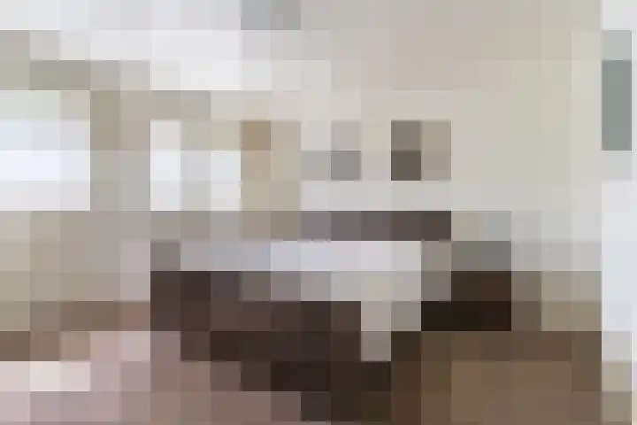 Willibrordlaan 18 Hulsel thumbnail 21