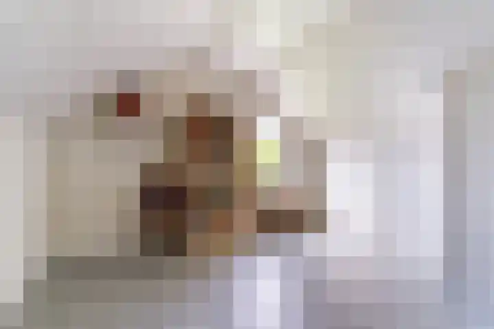 Willibrordlaan 18 Hulsel thumbnail 31