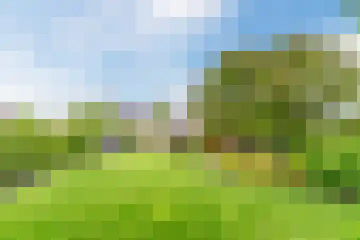 Willibrordlaan 18 Hulsel thumbnail 32