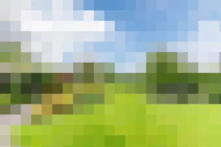 Willibrordlaan 18 Hulsel thumbnail 37
