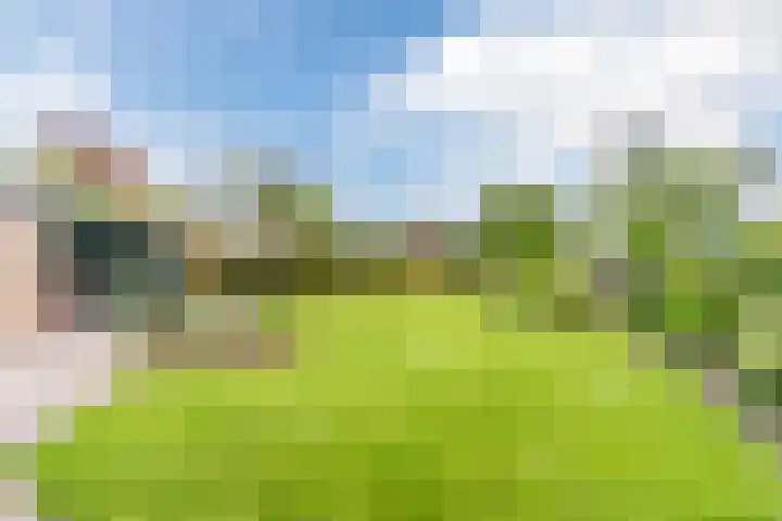 Willibrordlaan 18 Hulsel thumbnail 38