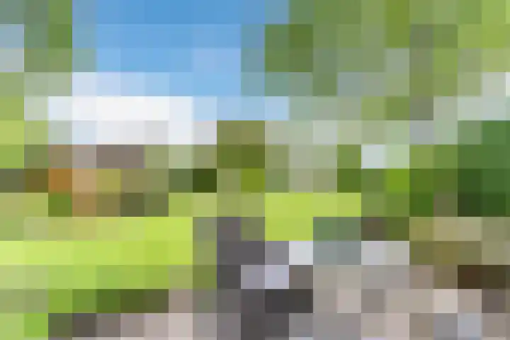 Willibrordlaan 18 Hulsel thumbnail 39