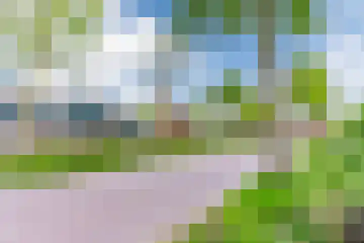 Willibrordlaan 18 Hulsel thumbnail 46