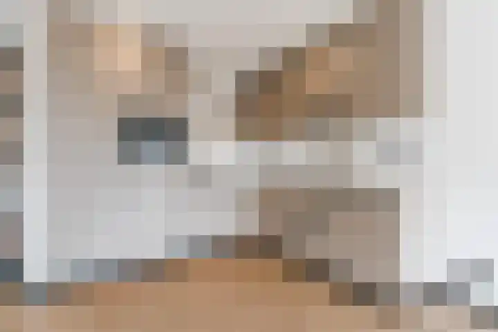 Willibrorduslaan 10 e Eersel thumbnail 23