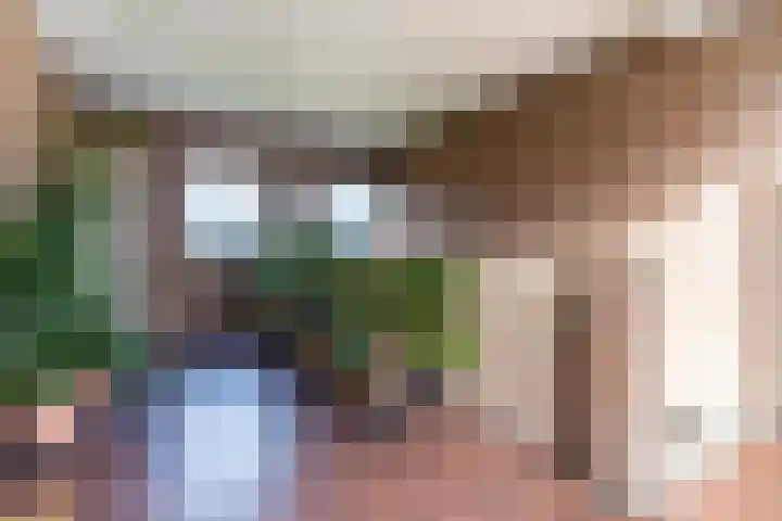 Willibrorduslaan 10 e Eersel thumbnail 9