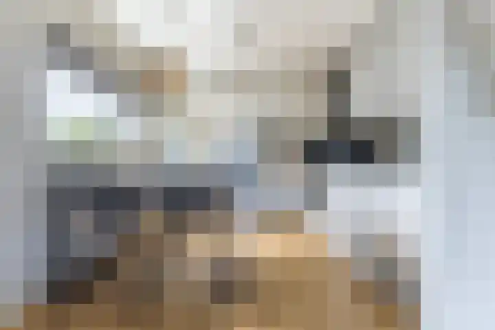 Willibrorduslaan 10 k Eersel thumbnail 13