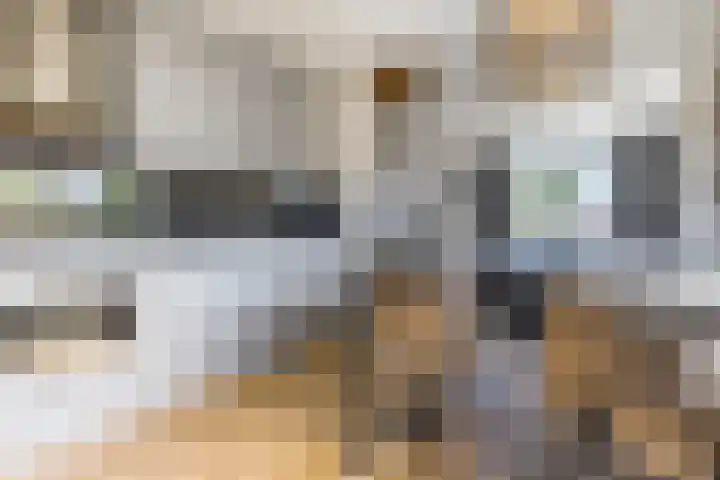 Willibrorduslaan 10 k Eersel thumbnail 14