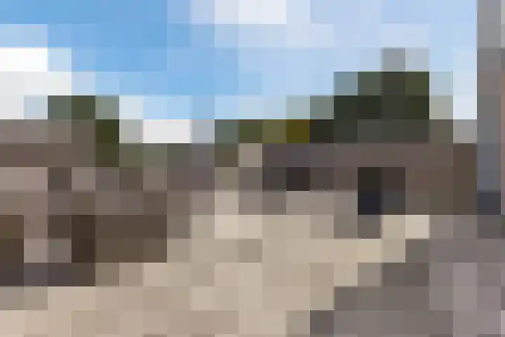 Willibrorduslaan 10 k Eersel thumbnail 29