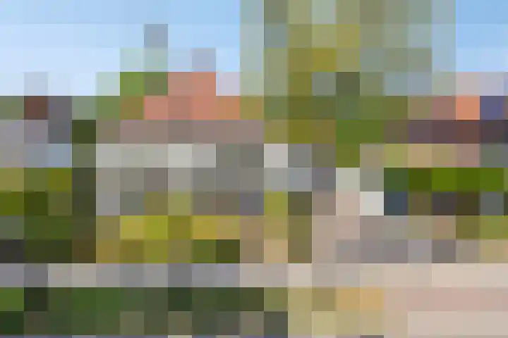 Willibrorduslaan 123 en Waalre