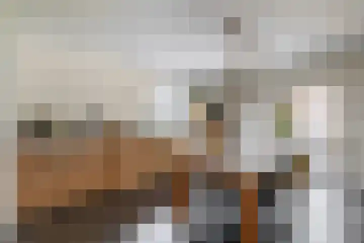Willibrorduslaan 48 Eersel thumbnail 18