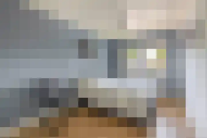 Willibrorduslaan 48 Eersel thumbnail 23