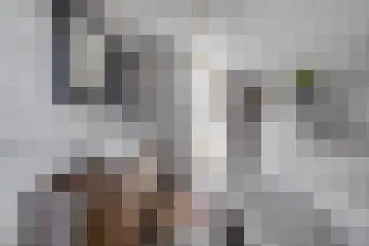 Willibrorduslaan 48 Eersel thumbnail 26
