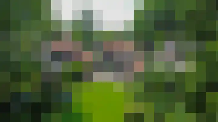 Willibrorduslaan 48 Eersel thumbnail 32