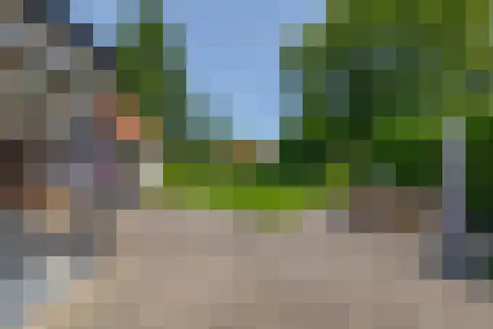 Willibrorduslaan 48 Eersel thumbnail 36