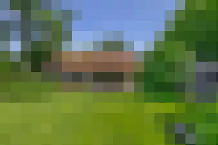 Willibrorduslaan 48 Eersel thumbnail 38