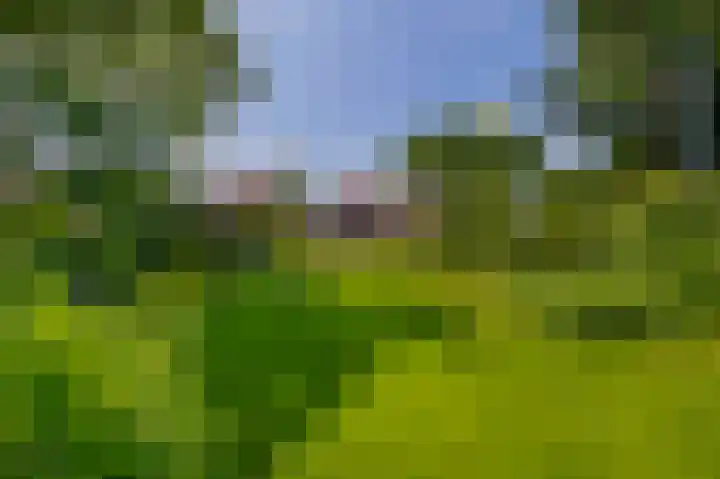 Willibrorduslaan 48 Eersel thumbnail 39