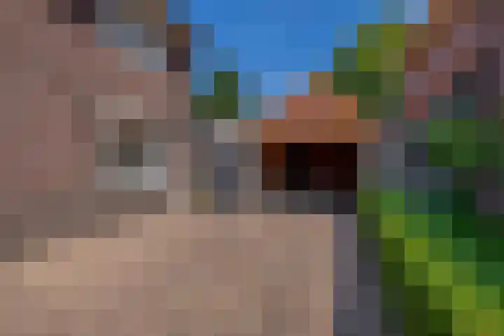 Willibrorduslaan 48 Eersel thumbnail 41